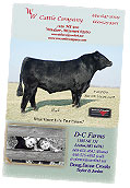Custom-Designed Magazine Ad