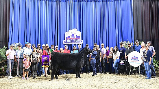 2024 National Junior Angus Show 