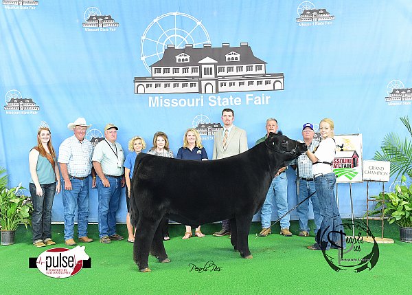 Shows and Fairs